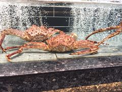 -宴周康·精致江浙菜(周浦店)