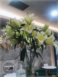 -北京炫美医疗美容