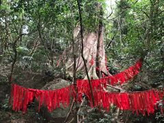 -七仙岭温泉国家森林公园