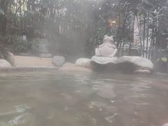 -天目湖涵田半山温泉水乐园