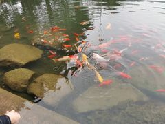 -中国茶叶博物馆(双峰馆区)