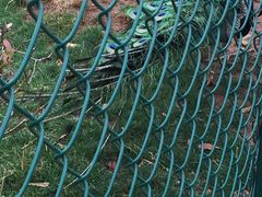 -云南艺术学院(呈贡校区)