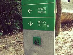 -火炉山森林公园