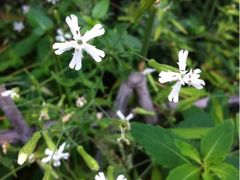 iphone_upload_pic-灵溪风景区