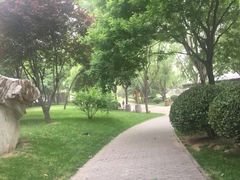 -唐城墙遗址公园