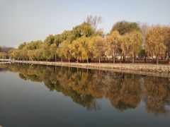-二一九公园