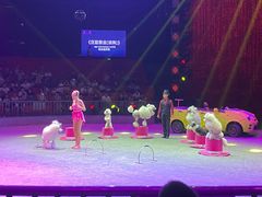 -西安秦岭野生动物园