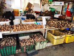 -南沙十九涌渔人码头-南门