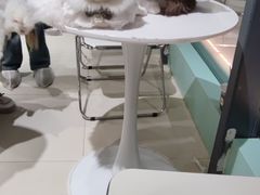 -怪兽屋·羊驼·猫咖·狗咖(俊华广场店)