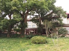 -普陀山雷迪森庄园