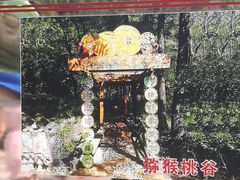 -大岭沟猕猴桃谷风景区