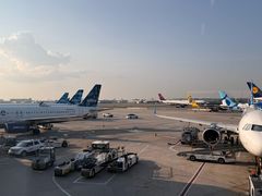 -约翰·菲茨杰拉德·肯尼迪国际机场