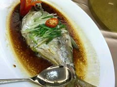 -东方御宴海鲜酒楼(棕泉酒店)