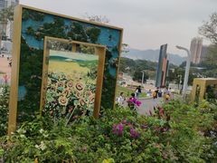-白石龙音乐公园
