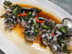 泰式笋壳鱼-聚福宝合苑食府(南头镇店)