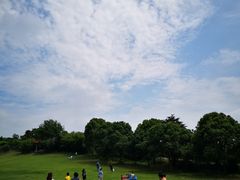 -雨花胜境