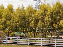 -紫颐香薰山谷景区