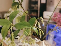 -春树下·树屋花房西餐厅(罍街AS1980店)