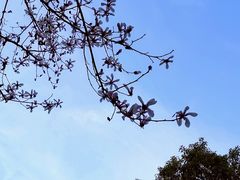 -新洲生态园