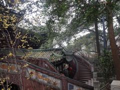 iphone_upload_pic-成都老君山