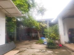 -花悦农庄 | 烧鸡·竹筒饭(沙迳高沙温泉香溪堡店)
