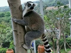 -梦幻奥陶纪景区