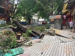 -嘉乐蛋挞王(文明分店)