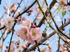 -厦门园林博览苑