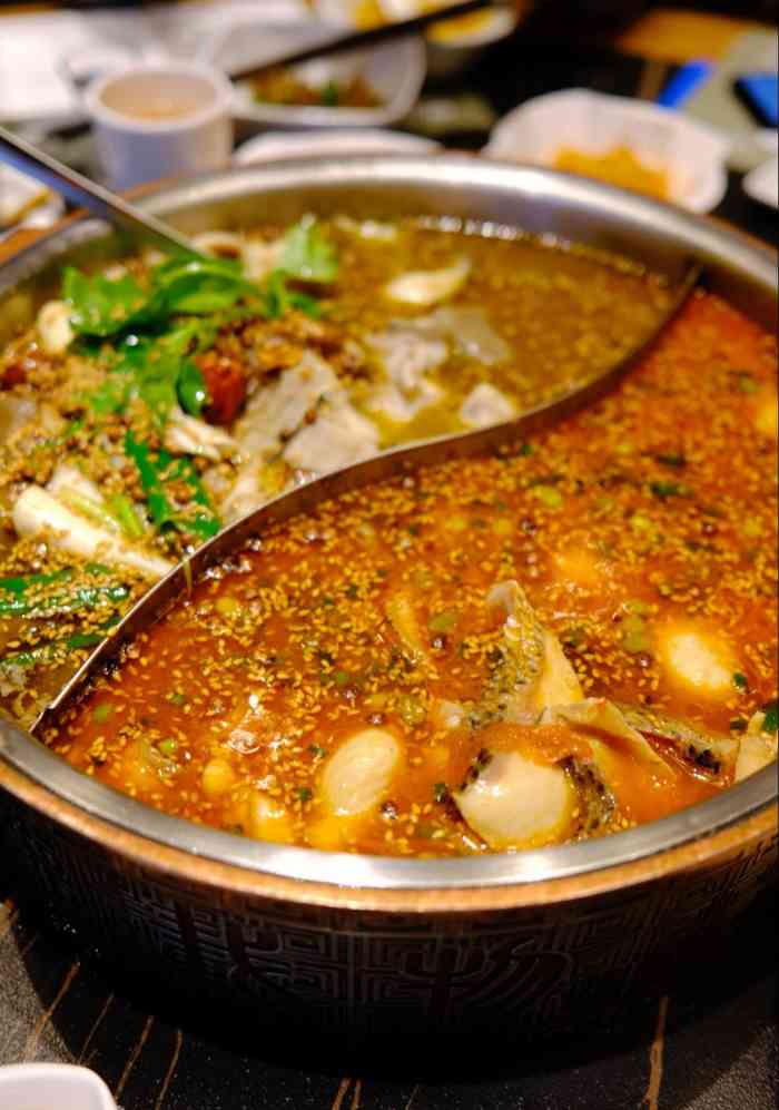 爱吃鱼的我又来大河宴吃鱼了.前些."-大众点评移动版