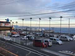 -伊豆观海列车