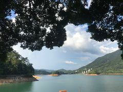 -广州市流溪河国家森林公园