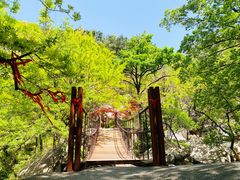 -崂山九水游览区