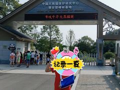 -中国大熊猫保护研究中心雅安碧峰峡基地