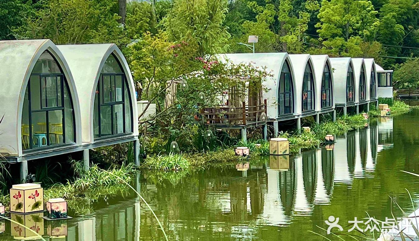 成都周边游‼️40000平现实版绿野仙踪🖼 .