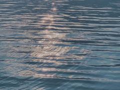 -湖南东洞庭湖国家级自然保护区