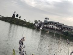 -金卉庄园