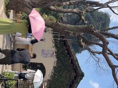 -村上春树