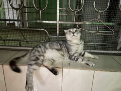 -深圳阳光医疗美容医院·旗舰店