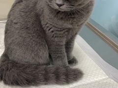 -申普宠物医院·眼科·心内科·影像科(普陀分院)