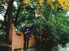 -成都市活水公园