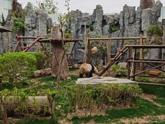 -五龙山野生动物王国