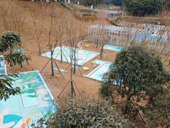-两江幸福广场