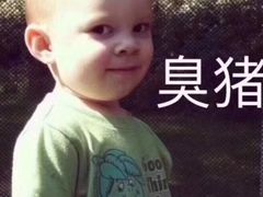 -HONGA HONGA雄家(曹路店)