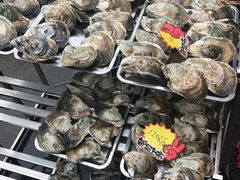 -蚝专家(北滘店)