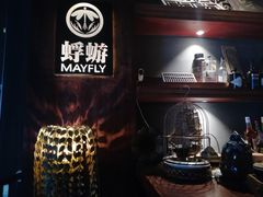 -蜉蝣酒吧(仓山万达店)