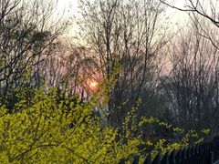 -永定河休闲森林公园