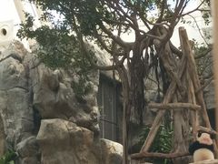 -香港海洋公园