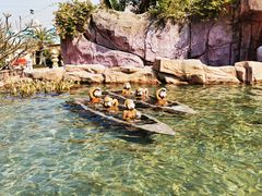 -美的鹭湖探索王国