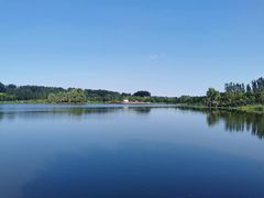 -东郊湿地公园