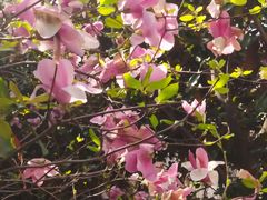 -上海总工会黄浦区工人体育馆-停车场